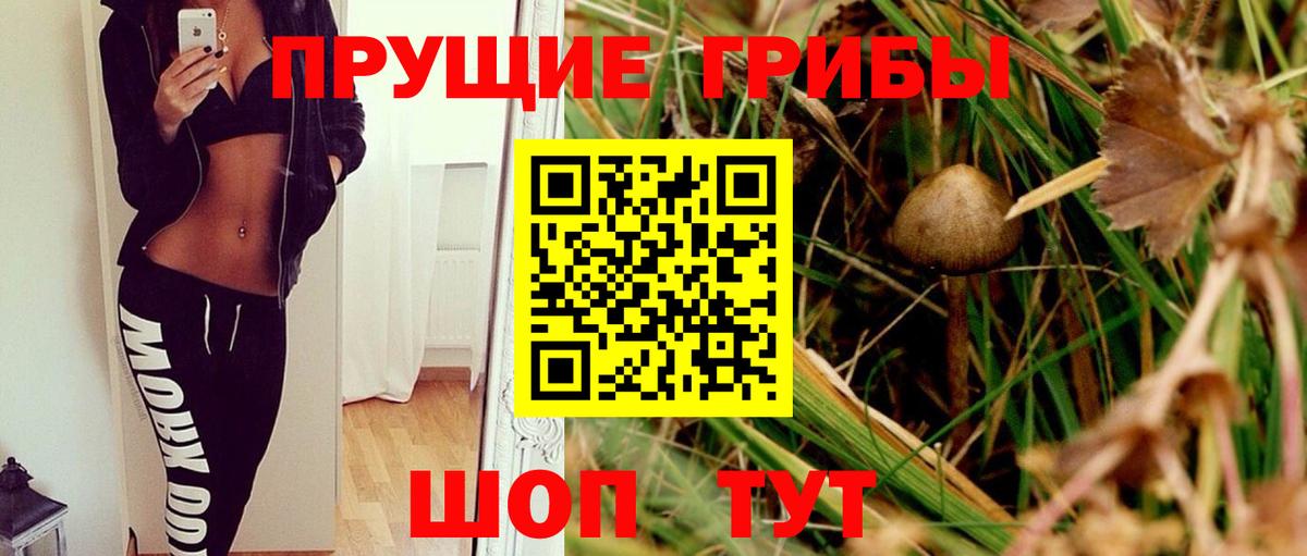Галлюциногенные грибы прущие грибы  Галлюциногенные грибы ЛСД  купить наркотики цена  Юрга  Вход с VPN 